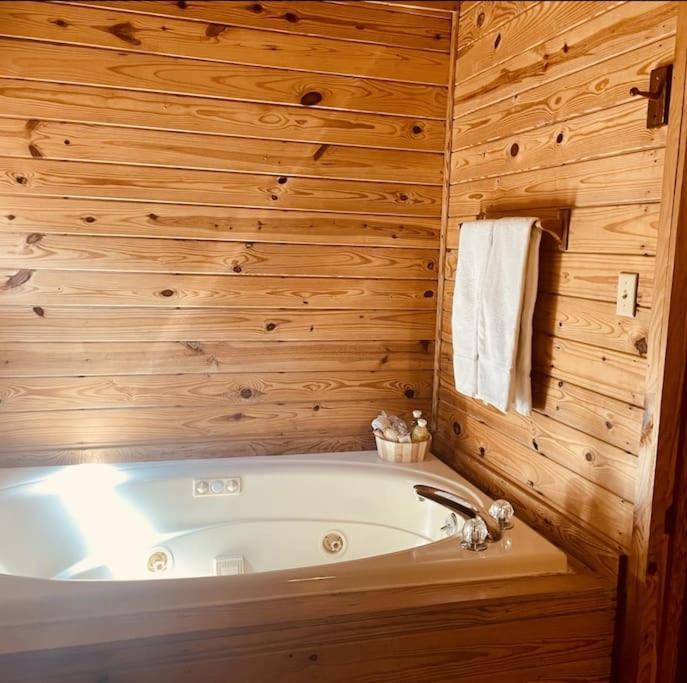 Rustic Black Bear Cabin พิเจนฟอร์จ ภายนอก รูปภาพ