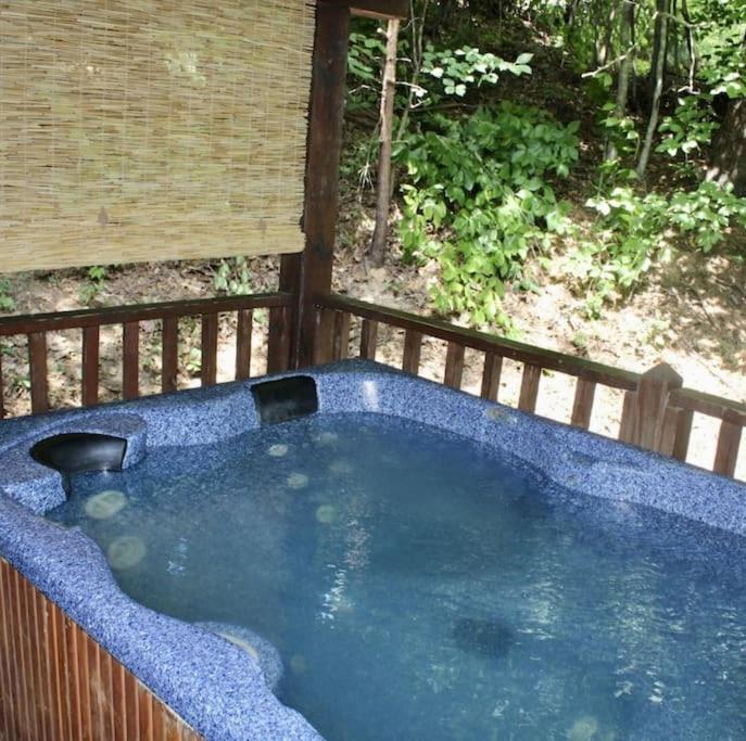 Rustic Black Bear Cabin พิเจนฟอร์จ ภายนอก รูปภาพ